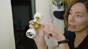 ЧТО ДЕЛАТЬ ЕСЛИ СКЕЙТ НЕ ЕДЕТ? Апгрейд скейта