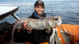 Рыба Макрурус. Жарим на сковороде. Канал Винигрет.