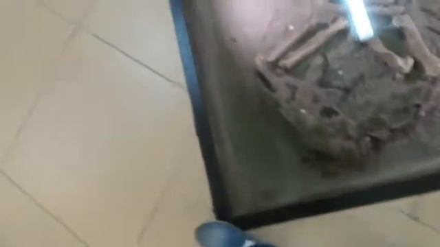 Новосибирский государственный краеведческий музей 2017г. смотреть онлайн