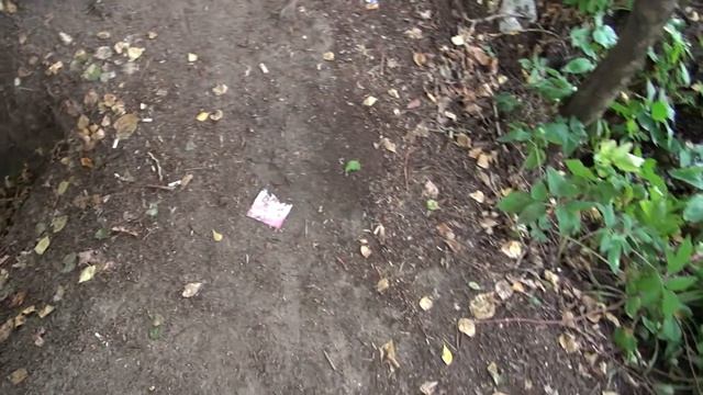 Пушкино. Прогулка по правому берегу реки Серебрянки. Часть 1 (04.08.2021) смотреть онлайн