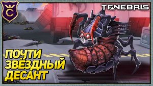 ПОШАГОВЫЕ ЖУКИ НАСТУПАЮТ! Tenebris Terra Incognita Demo #1