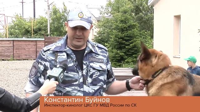 С Днем кинолога! смотреть онлайн