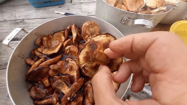А СВИНУШКИ ТО ЕДЯТ!!! смотреть онлайн