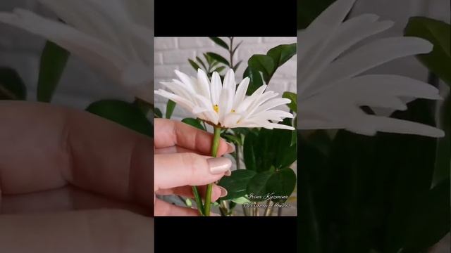 Ромашки ручной работы. Полимерная глина. смотреть онлайн