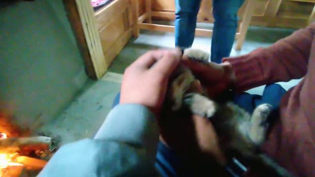 Guide ko kam leyara fari janu paryo North Sikkim Lachung😍😍 @adityamukhia2622 смотреть онлайн