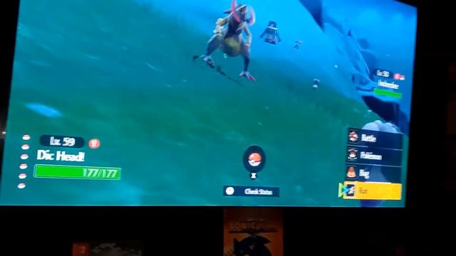 Pokémon Haxorus Is A Paradox Form Of Cyclizar? Happy 2023 Guys! Phyllis! смотреть онлайн