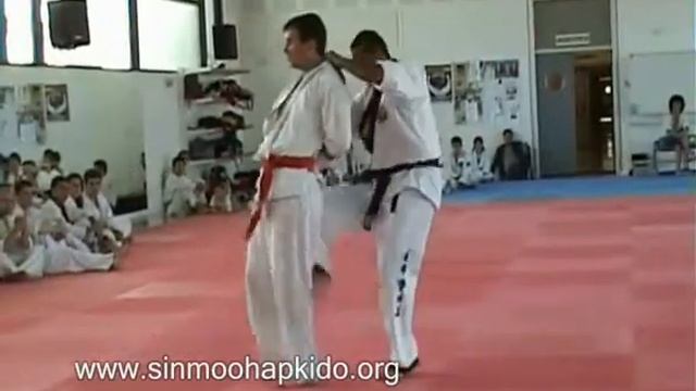 HAPKIDO MASTER CLASS 2007 смотреть онлайн