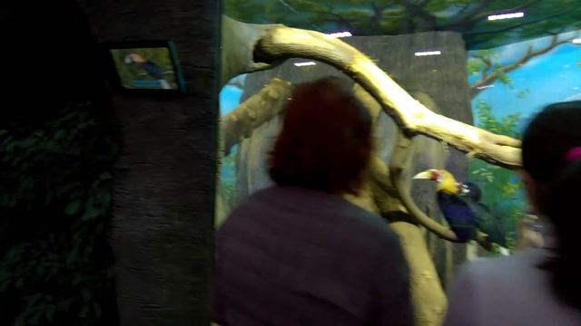 Крокус Сити Океанариум   часть 1