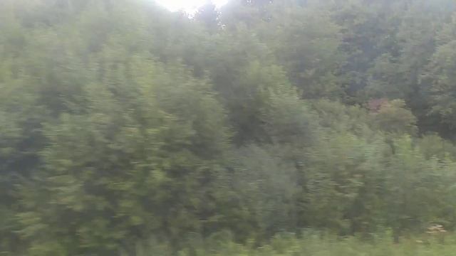 Поездка на дизель-поезде,ддб1-007,марш.Орша-Лепель смотреть онлайн