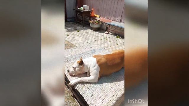 4 августа 2023 г. смотреть онлайн