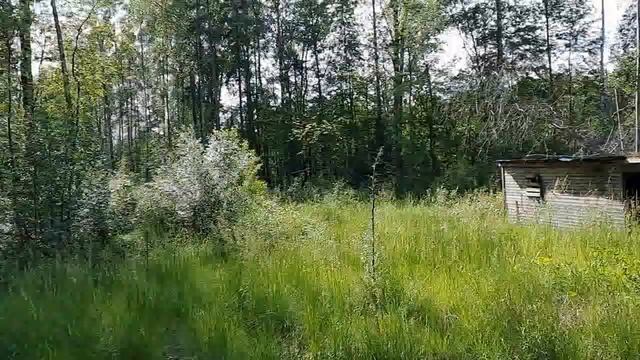 (Nevsky Lesopark) Невский Лесопарк - Первое знакомство) Санкт-Петербург-Ленинградская область.