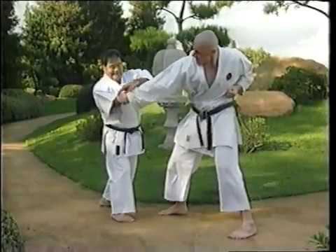 Sensei Morio Higaonna? Mirko Buchwald