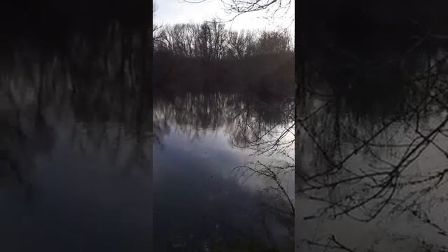 Река Карай,вышла из берегов. смотреть онлайн