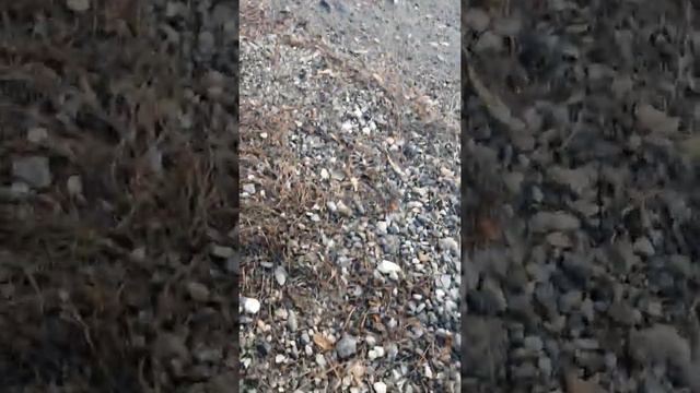 ИЖ ПЛАНЕТА 5 БЕЗ ФЛЕЙТ! смотреть онлайн