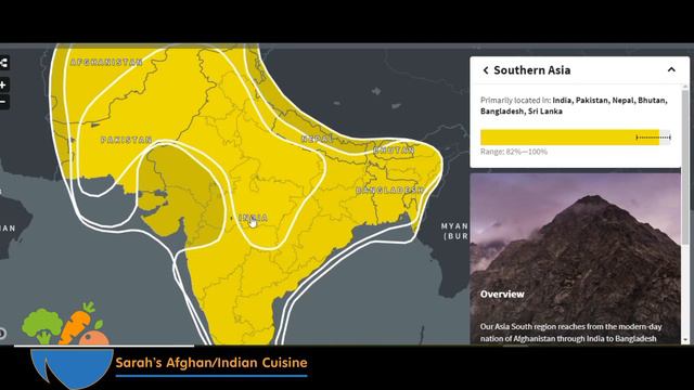 Sarah Zafar | DNA Results | Ancestry