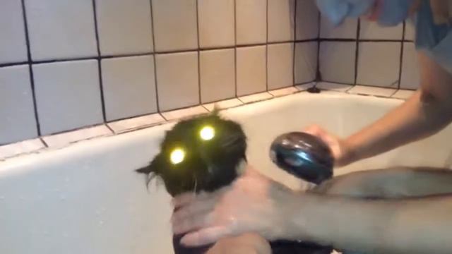 я - бык! смотреть онлайн