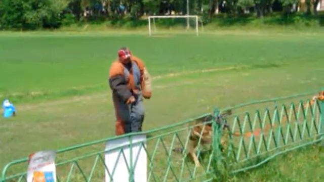 Соревнования собак сопровождения -Чернигов www.zooclub.info смотреть онлайн