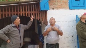 #Голуби #Ставрополья   Северокавказские и Благодарненские голуби Григорян Сергея