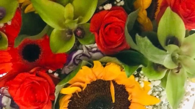 ? Лев ? Май 2023 ….от Розанна Княжанская смотреть онлайн