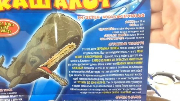 МОРСКИЕ ГИГАНТЫ & КО МАКСИ - пакетики СЮРПРИЗЫ от DeAGOSTINI - МЯГКИЕ, липкие ИГРУШКИ МЕНЯЮТ ЦВЕТ