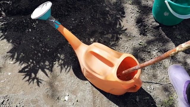 ?ВТОРАЯ ВЕСЕННЯЯ ПОДКОРМКА ПИОНОВ ДЛЯ БУТОНИЗАЦИИ И ЦВЕТЕНИЯ? смотреть онлайн