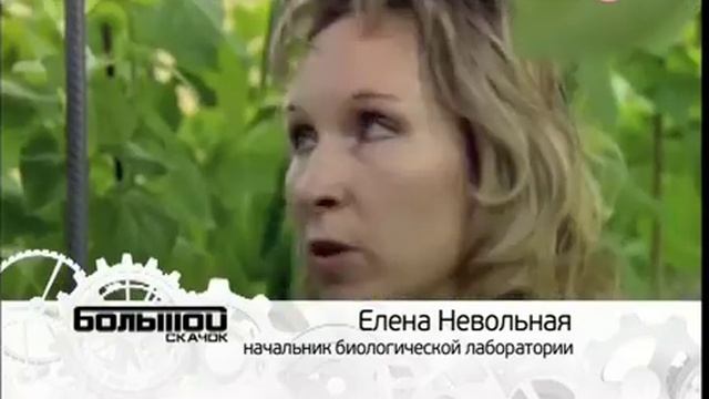 #3. Биоинженерия. Большой скачок аэропоника. смотреть онлайн