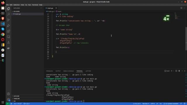 Strings and String Literals of Golang | Strings in go | String Literals in golang