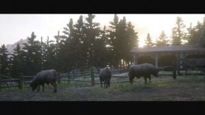 История Джона Марстона Эпилог - RED DEAD REDEMPTION Прохождение #38