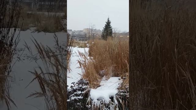 Новая Голландия зимой смотреть онлайн