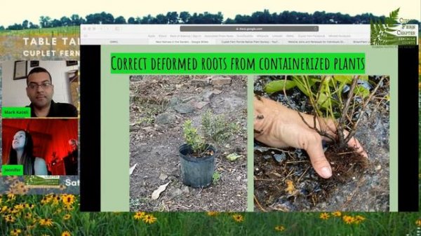 New Native Plants in the Garden 🌱 Learning through Experience