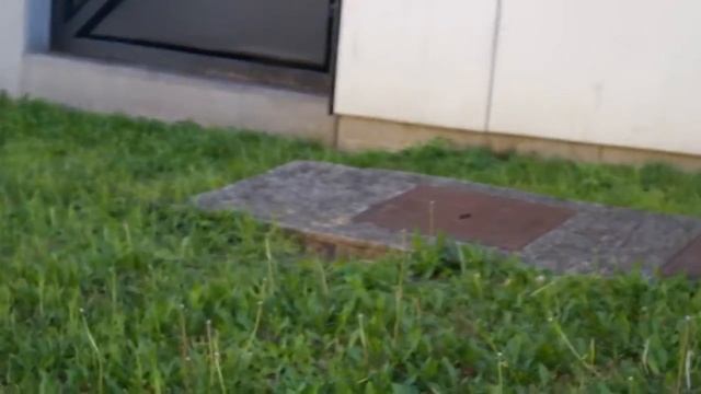 Samsung NX2000 testiranje kamere смотреть онлайн