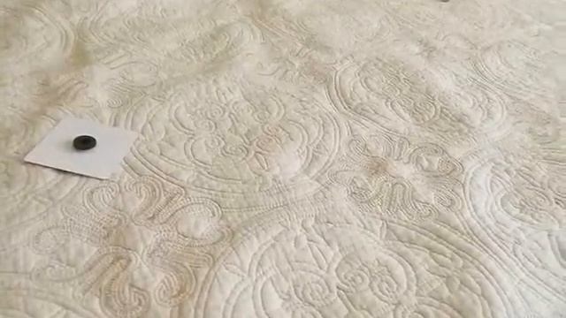 Как научить щенка ходить на улицу смотреть онлайн