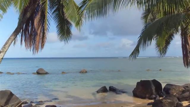 Beautiful piano music. The beauty of the ocean. Relaxing music for positive energy. SPA Study Musi смотреть онлайн