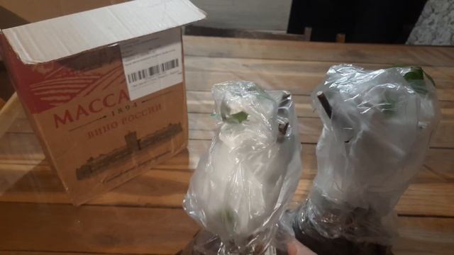 Посылка с клематисами от Русиновых. Клематисомания. смотреть онлайн