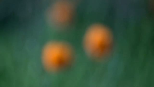 все что нас окружает