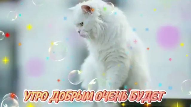 🐈С ДОБРЫМ ПРЕКРАСНЫМ УТРОМ!🐈💖💖💖 смотреть онлайн