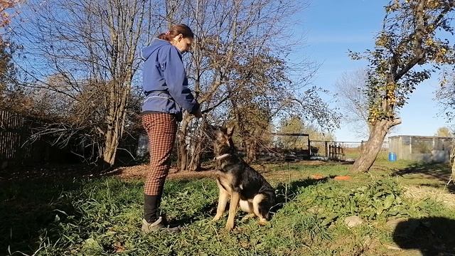 VID_20221011_153717.mp4 смотреть онлайн