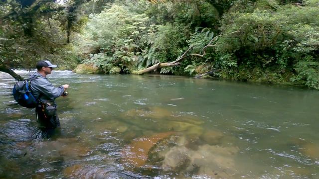 Fly Fishing an AMAZING River for WILD trout! [NEW ZEALAND] смотреть онлайн