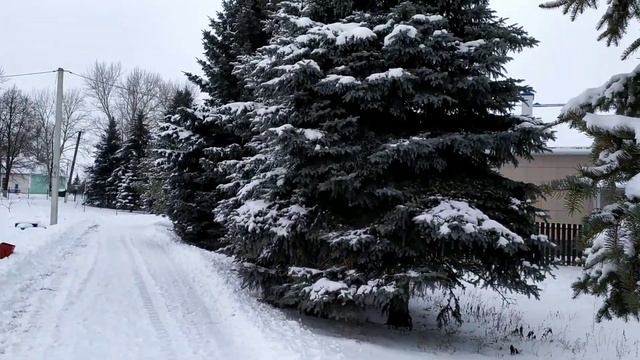 Новополянье! Чаплыгинский район! Липецкая область! смотреть онлайн