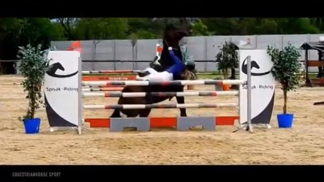 мой смысл жизни - конный спорт смотреть онлайн