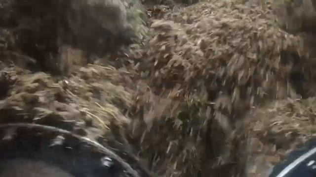 Динамика выращивания ГЗК смотреть онлайн