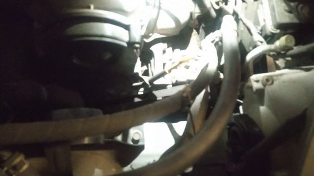 MAZDA 323 F 2001 8 MESES PARADO NEVER DIES ALWAYS LIVING / BIG WHEELS смотреть онлайн