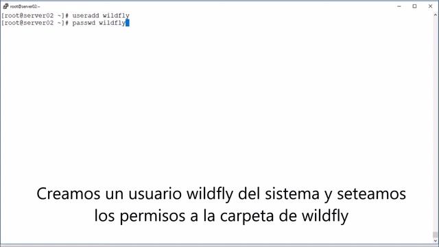 Implementación de Dominio de Servidores Wildfly sobre servidores CentOS 7 смотреть онлайн