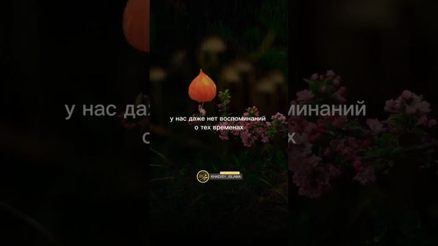 Уважение к родителям #ислам #хадис #мама #отца смотреть онлайн