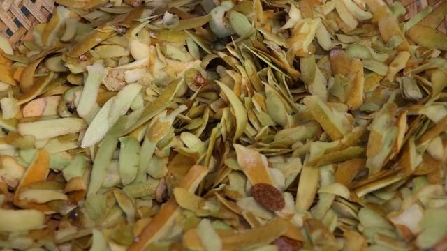 Harvest Sapodilla fruit to make dried sliced Sapodilla fruit - Cooking with Sreypov смотреть онлайн