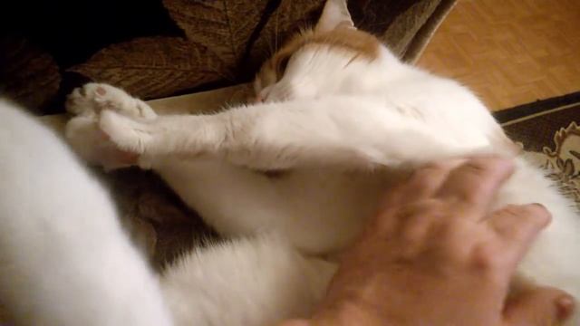 Позвольте себе просто улыбнуться и пару минут отдохнуть