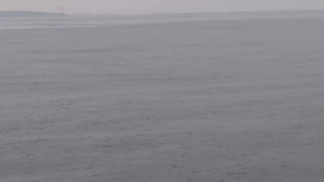 Япония. Морское сафари на Тихом океане у самой южной точки полуострова Босо мысе Инубодзаки смотреть онлайн