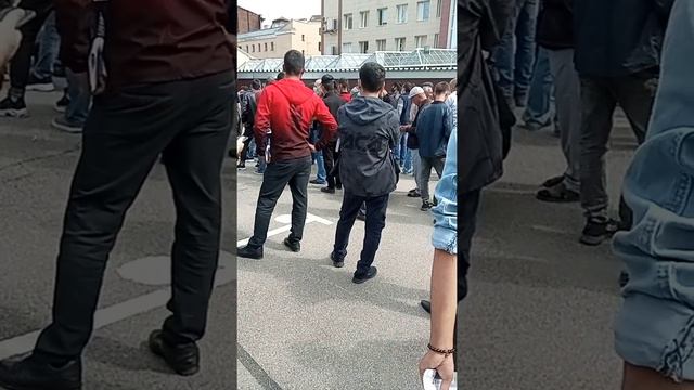 бардак в УФМС спб. ру смотреть онлайн
