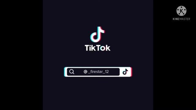 //большая подборка//коты-воители//тик ток смотреть онлайн