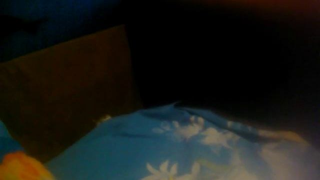 Аааааалиуля аааааалиуля ????? день рождения моей кошки